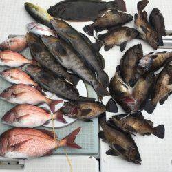ふじしめ丸 釣果