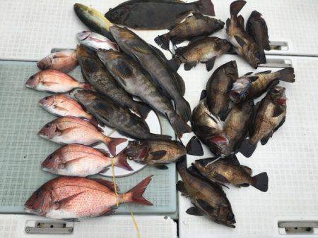 ふじしめ丸 釣果