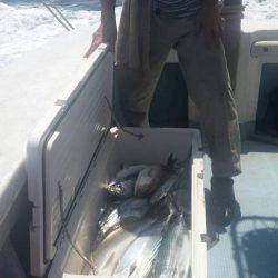 第五慶門丸 釣果