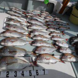 遊漁船 幸友丸 釣果