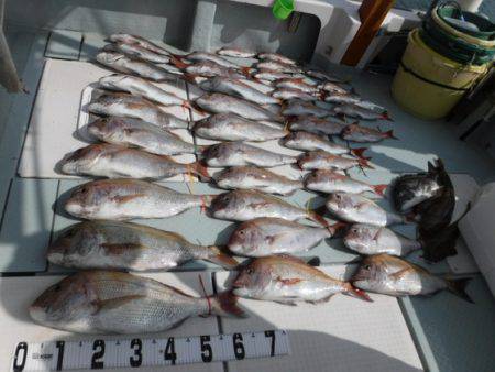 遊漁船 幸友丸 釣果