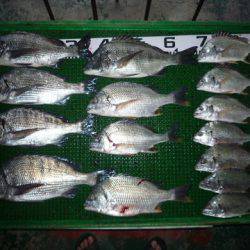 海山フィッシングセンター 釣果