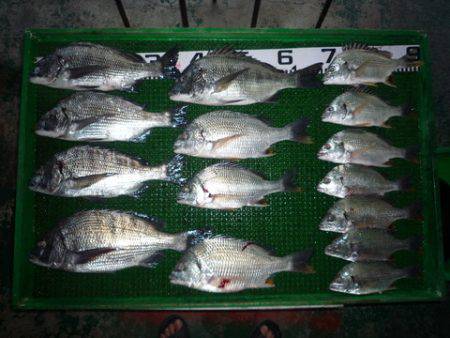 海山フィッシングセンター 釣果