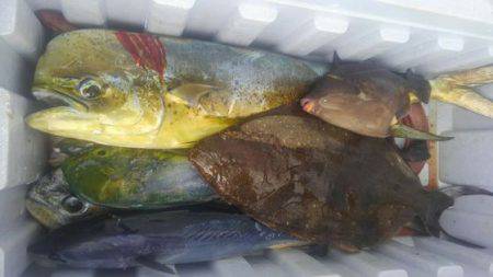 遊漁船 新鋭丸 釣果