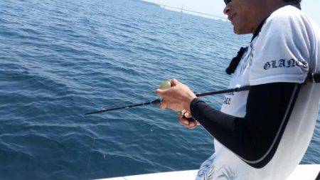 暁〜akatsuki〜 釣果