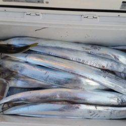 暁〜akatsuki〜 釣果