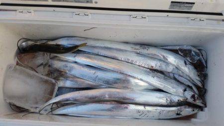 暁〜akatsuki〜 釣果