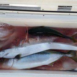 暁〜akatsuki〜 釣果