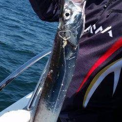 暁〜akatsuki〜 釣果