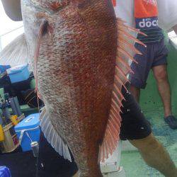 遊漁船 新鋭丸 釣果