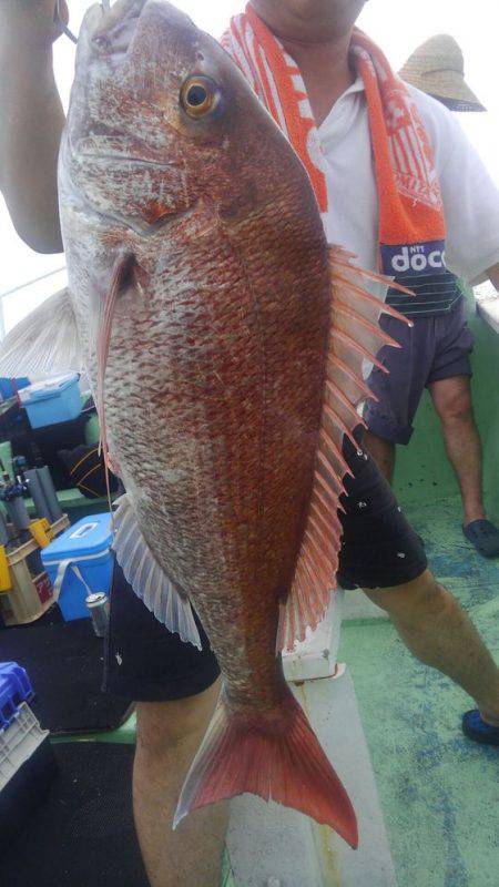 遊漁船 新鋭丸 釣果