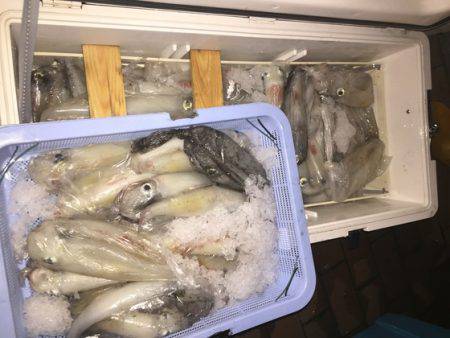 幸風（さちかぜ） 釣果