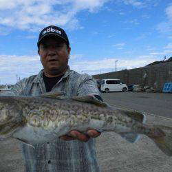 大進丸（新潟） 釣果