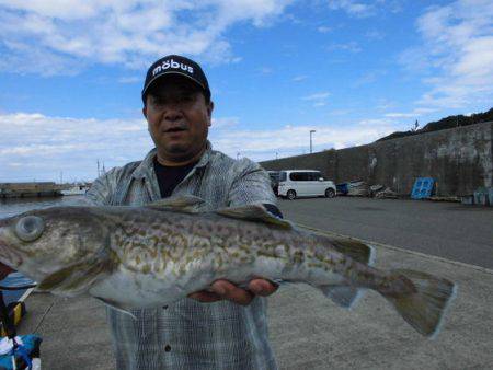 大進丸（新潟） 釣果
