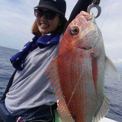 遊漁船 新鋭丸 釣果