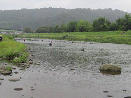 狩野川（狩野川漁業協同組合） 釣果