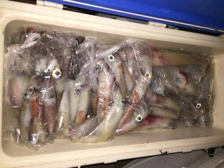 幸風（さちかぜ） 釣果