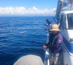 IDATEN(イダテン) 釣果