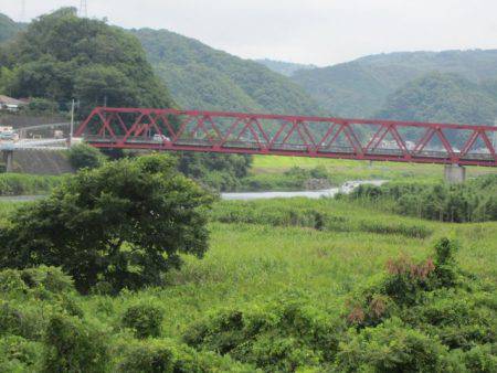 狩野川(狩野川漁業協同組合) 釣果