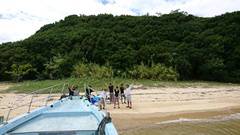 まこと渡船 釣果