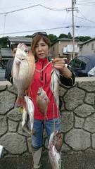 まこと渡船 釣果