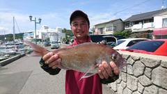 まこと渡船 釣果