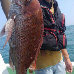 遊漁船 新鋭丸 釣果