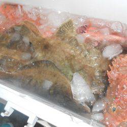 こうゆう丸 釣果