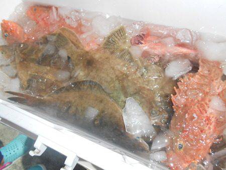 こうゆう丸 釣果