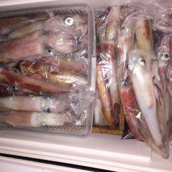 幸風（さちかぜ） 釣果