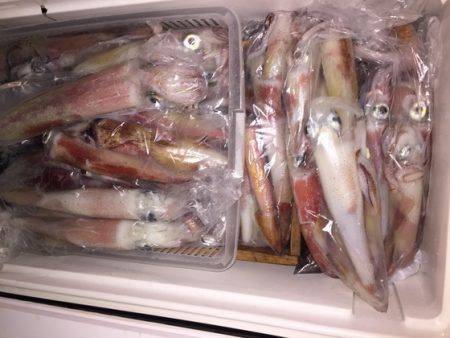 幸風（さちかぜ） 釣果