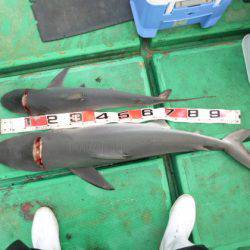 真祐丸 （しんゆうまる） 釣果