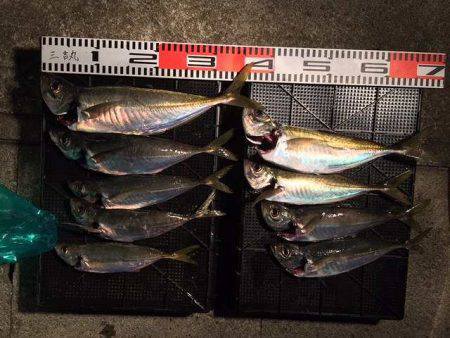 三吉丸 釣果