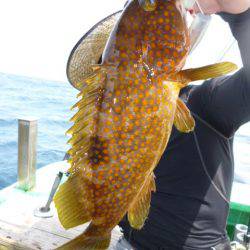 真祐丸 （しんゆうまる） 釣果