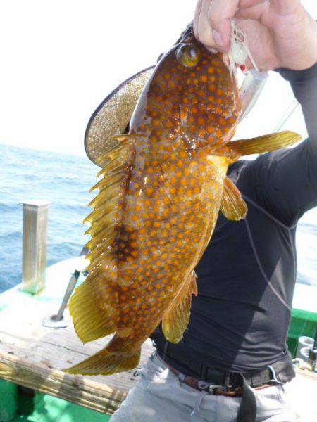 真祐丸 （しんゆうまる） 釣果