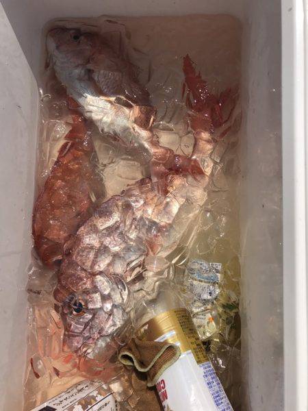 遊漁船高橋 釣果