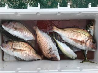 なかくに丸 釣果