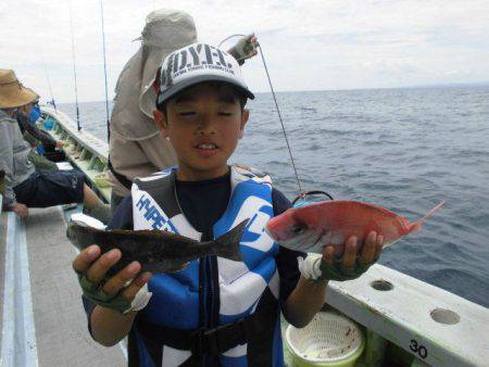 大進丸（愛知） 釣果