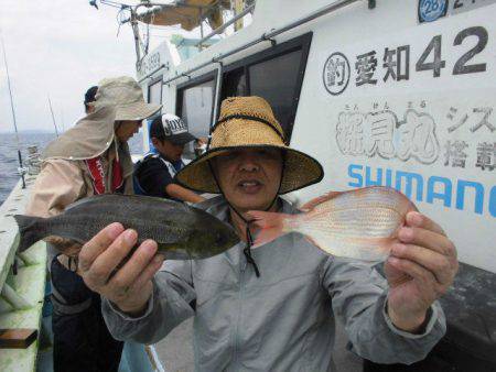 大進丸（愛知） 釣果