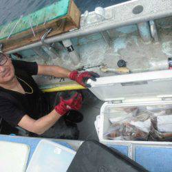 大進丸（愛知） 釣果