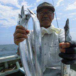 大進丸（愛知） 釣果