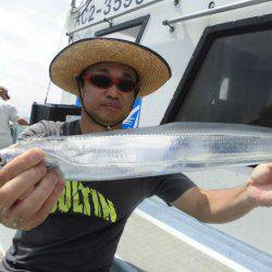 大進丸（愛知） 釣果