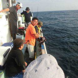 大進丸(愛知) 釣果