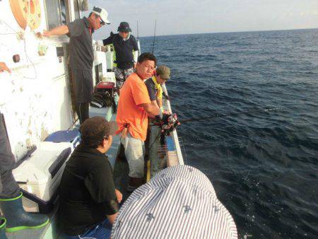 大進丸(愛知) 釣果