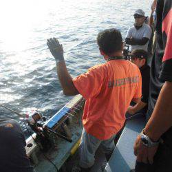 大進丸(愛知) 釣果