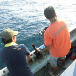 大進丸(愛知) 釣果