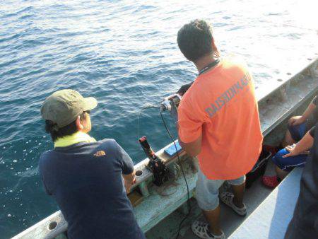 大進丸(愛知) 釣果