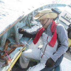 大進丸(愛知) 釣果