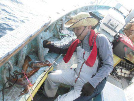 大進丸（愛知） 釣果