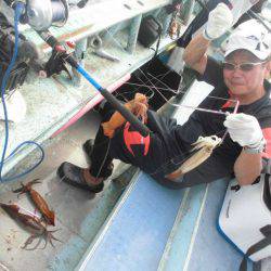 大進丸(愛知) 釣果